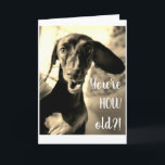 Sausage Dog Birthday Card Funny<br><div class="desc">For sausage dog owners and lovers alike,  say Happy Birthday with this funny,  silly sausage card.</div>
