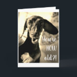 Sausage Dog Birthday Card Funny<br><div class="desc">For sausage dog owners and lovers alike,  say Happy Birthday with this funny,  silly sausage card.</div>