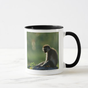 Savanna Monkey Mug