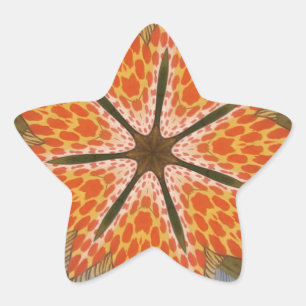 Savanna Star Bloom – A Bold African Animal Print Star Sticker