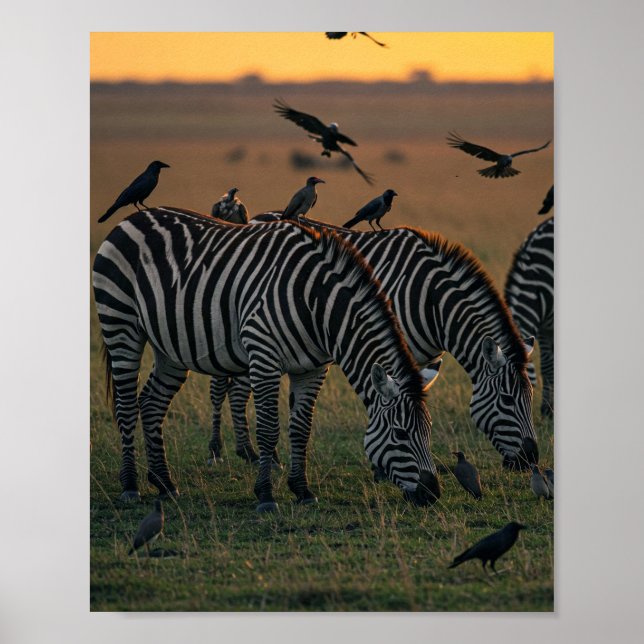 Savanna Stripes Stillness Poster (Front)