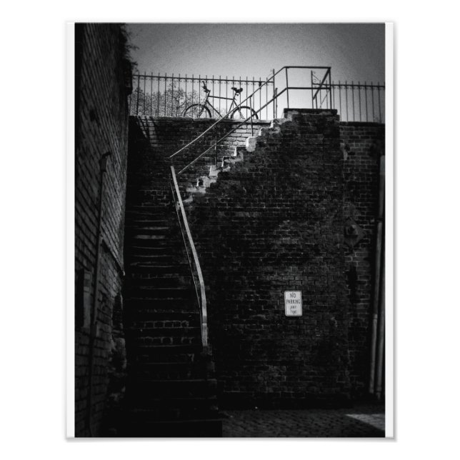 Savannah Bicycle Photo Print (Front)