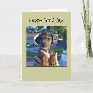 Savannah Card