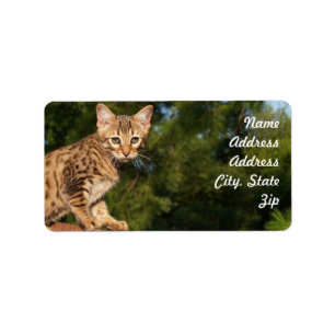 Savannah Cat Address Sticker