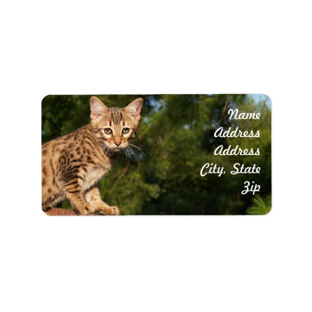 Savannah Cat Address Sticker (Front)