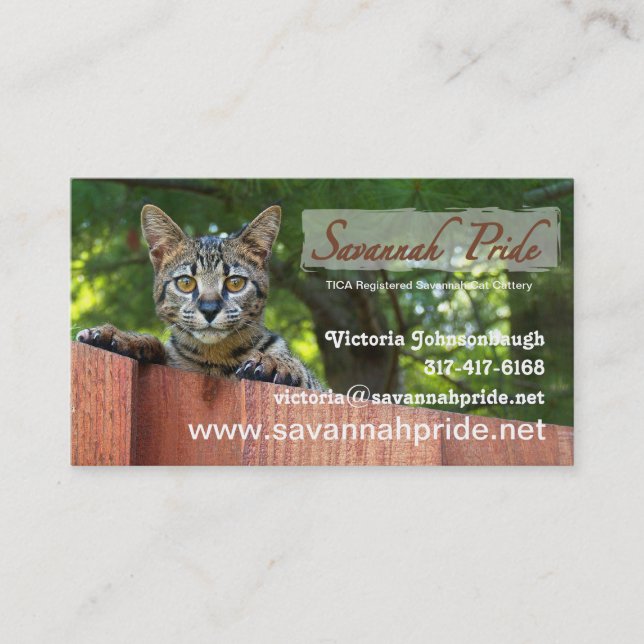 Savannah Cat Business Card (Front)