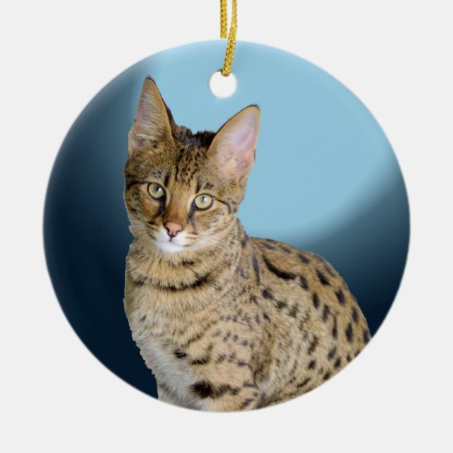 Savannah Cat Ceramic Tree Decoration (Front)