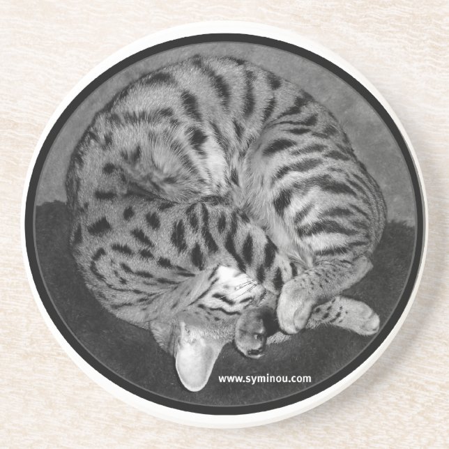 Savannah cat Coaster (Front)