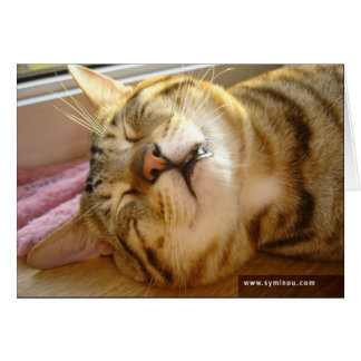 Savannah Cat deep-sleep Card