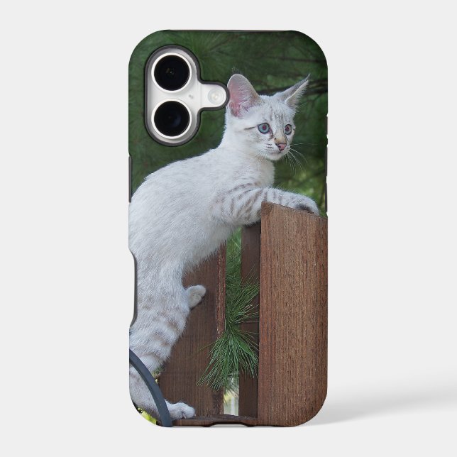 Savannah Cat  iPhone 5 Case-Mate Barely There (Back)