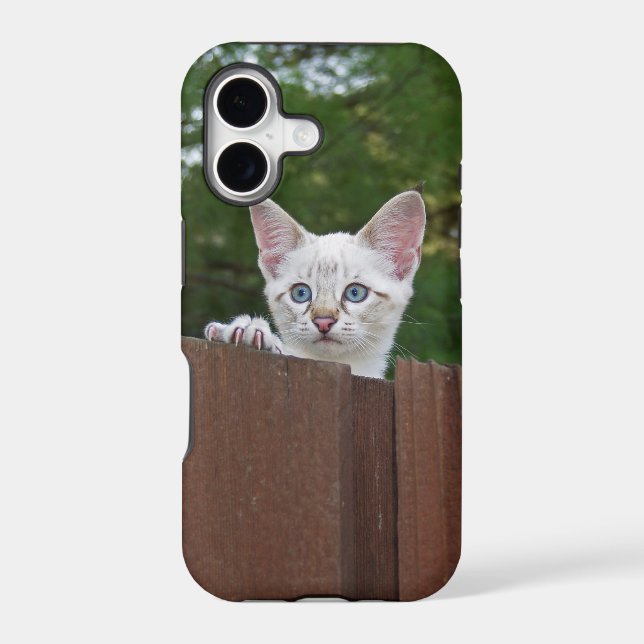 Savannah Cat  iPhone 5 Case-Mate Barely There (Back)