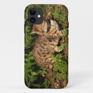 Savannah Cat iPhone 5 Case-Mate Barely There 11 Case