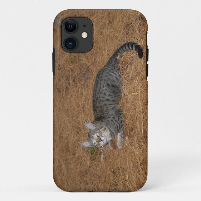 Savannah Cat iPhone 5 Case-Mate iPhone Case (Back)