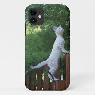 Savannah Cat iPhone 5 Custom Case-Mate ID 11 Case