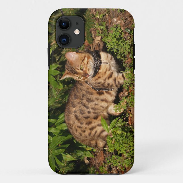 Savannah Cat iPhone 5 Custom Case-Mate ID Case (Back)