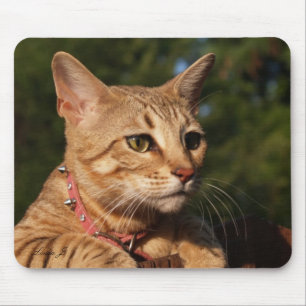 Savannah Cat Mousepad