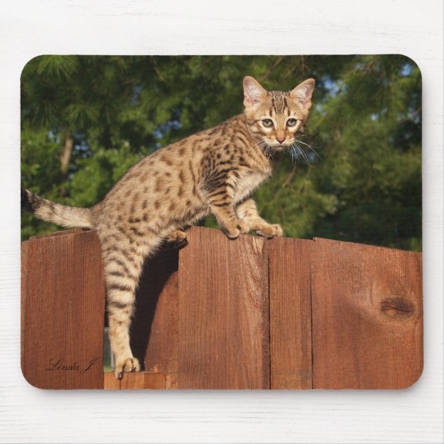 Savannah Cat Mousepad (Front)