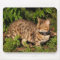 Savannah Cat Mousepad