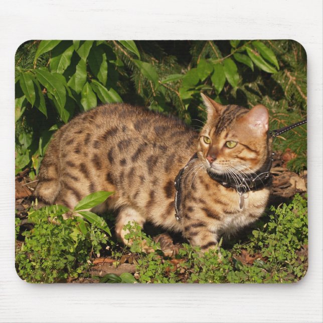 Savannah Cat Mousepad (Front)