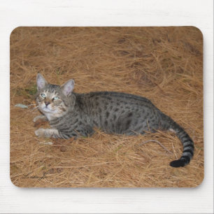 Savannah Cat Mousepad