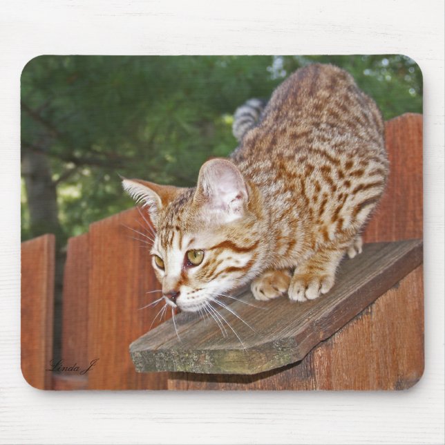 Savannah Cat Mousepad (Front)