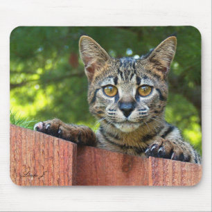 Savannah Cat Mousepad
