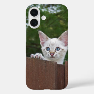 Savannah Cat Phone Case