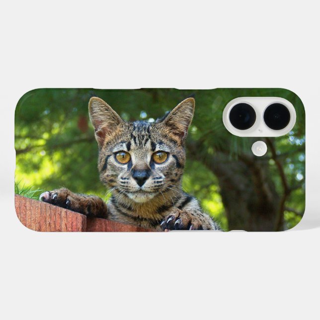 Savannah Cat  Phone Case (Back (Horizontal))