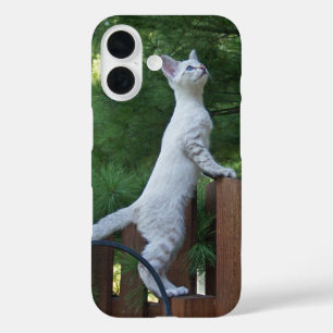 Savannah Cat  Phone Case