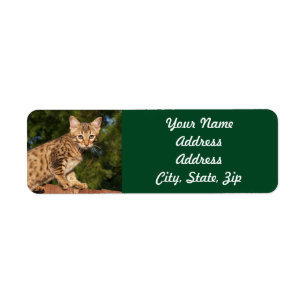 Savannah Cat Return Address Sticker