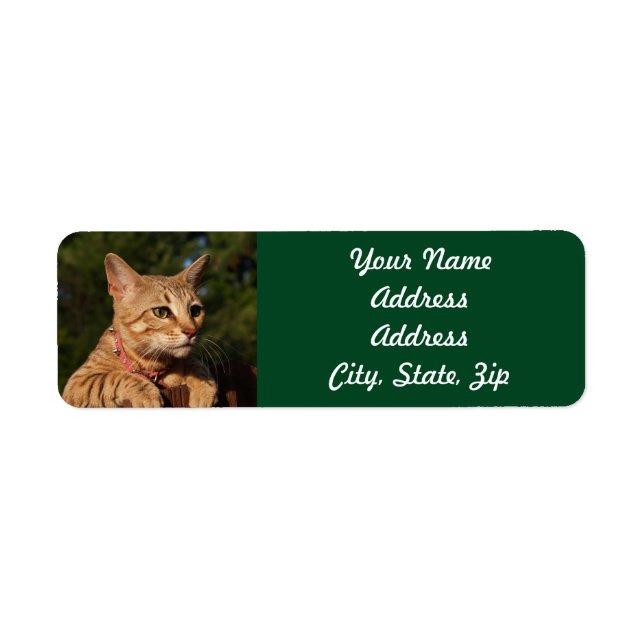 Savannah Cat Return Address Sticker (Front)