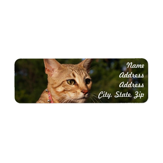 Savannah Cat Return Address Sticker (Front)
