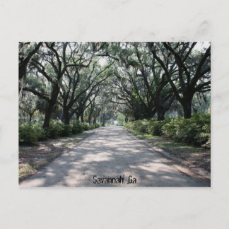 Savannah, Ga Postcard