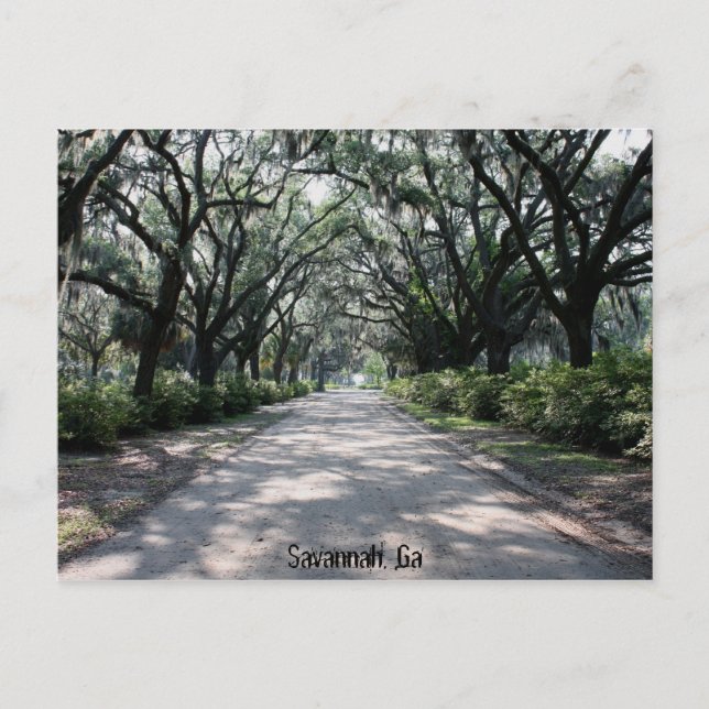 Savannah, Ga Postcard (Front)