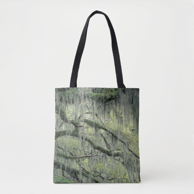 Savannah, Georgia, Live Oak tree draped with Tote Bag (Front)