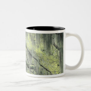 Savannah, Georgia, Live Oak tree draped with Two-Tone Coffee Mug