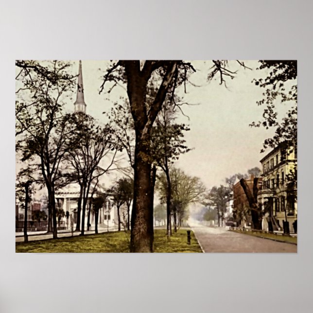 Savannah, Georgia Oglethorpe Avenue Poster (Front)
