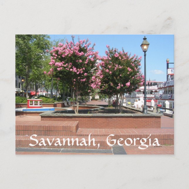 Savannah, Georgia Postcard (Front)