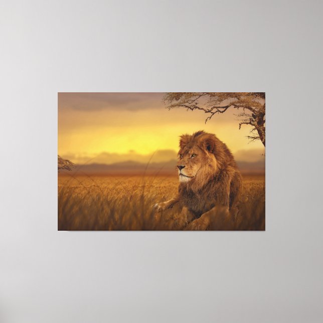 Savannah lion canvas print (Front)