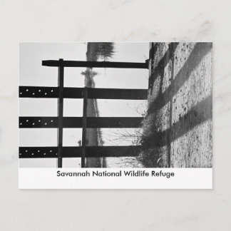 Savannah National Wildlife R... Postcard