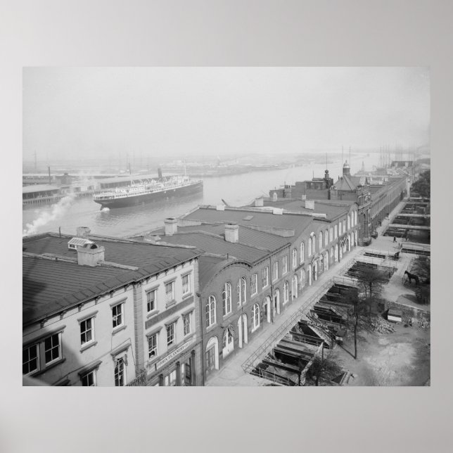 Savannah River Poster (Front)