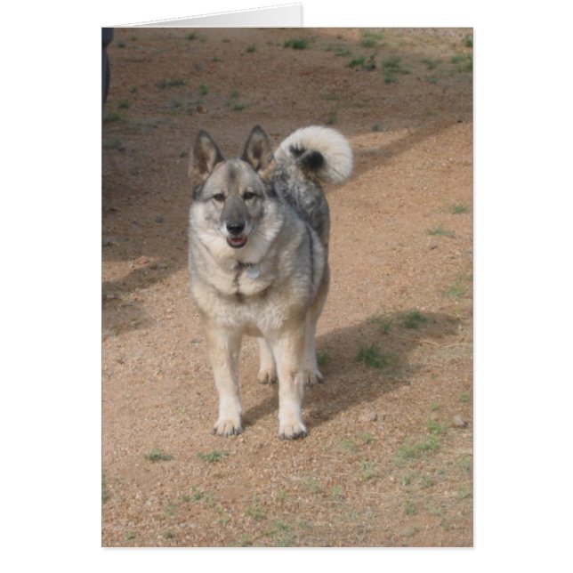 Savannah Smiling (Front)