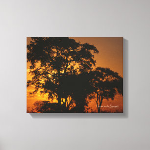 Savannah Sunset Canvas Print