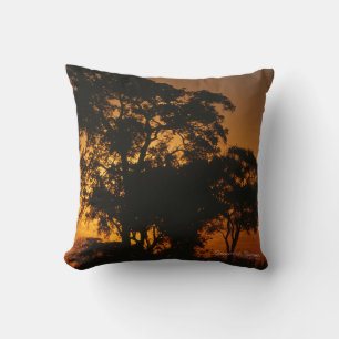 Savannah Sunset Cushion