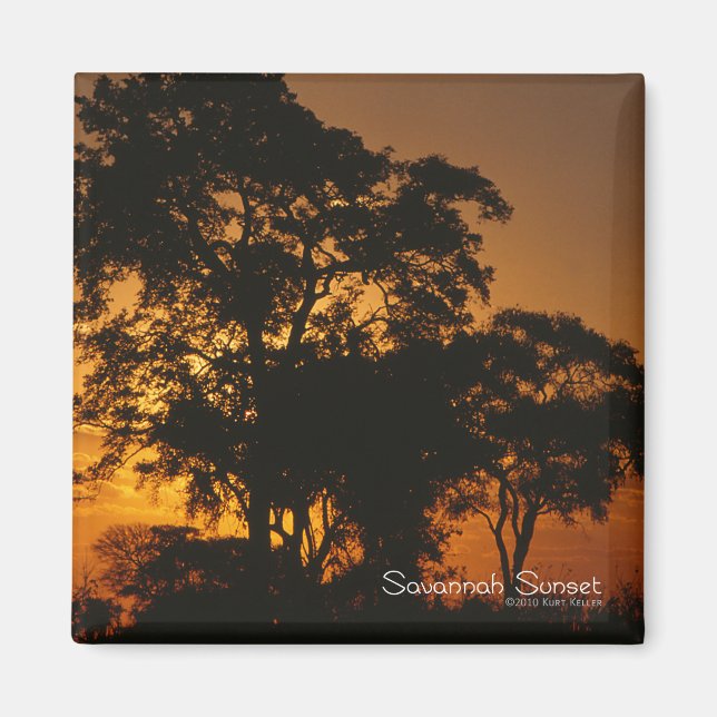 Savannah Sunset Magnet (Front)