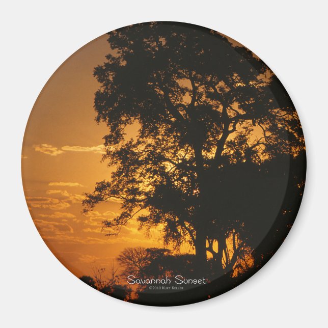 Savannah Sunset Magnet (Front)