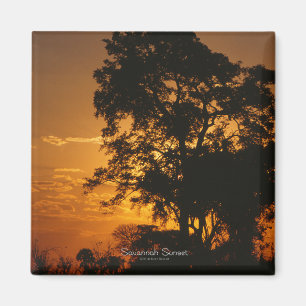 Savannah Sunset Magnet