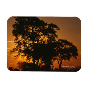 Savannah Sunset Photo Magnet