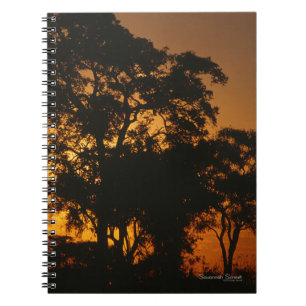 Savannah Sunset Photo Notebook