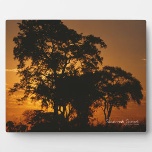 Savannah Sunset Plaque